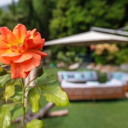 Parkhotel Brenscino Брисаго Екстериор снимка